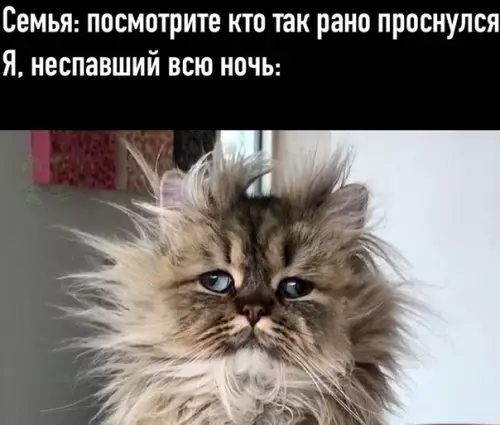 Смешная картинка №495917