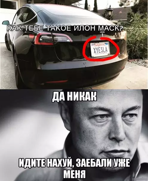 Смешная картинка №314701
