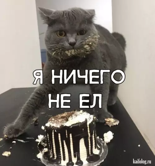 Смешная картинка №297886