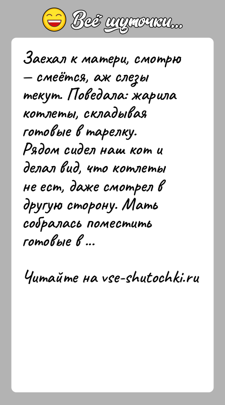 История: Заехал к матери, смотрю смеётся, аж слезы текут. Поведала: жарила котлеты, складывая готовые в тарелку. Рядом сидел наш кот
