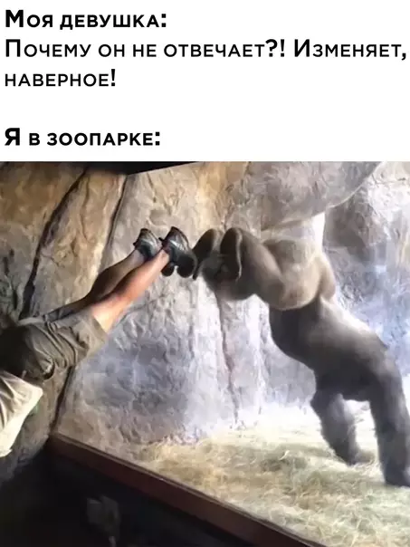 Смешная картинка №612044