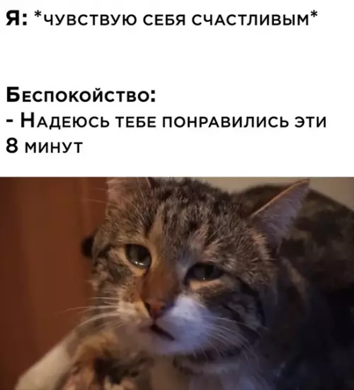 Смешная картинка №503709
