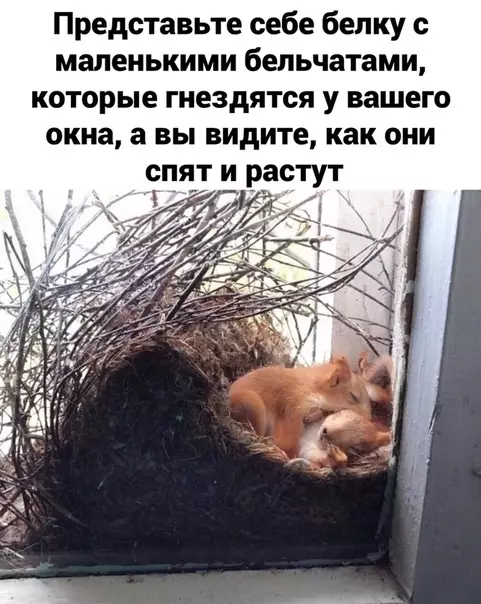 Смешная картинка №502163 Идеально