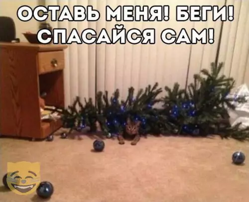 Смешная картинка №318497