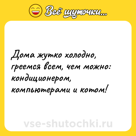 Шутка: Дома жутко холодно, греемся всем, чем можно: кондиционером, компьютерами и котом!