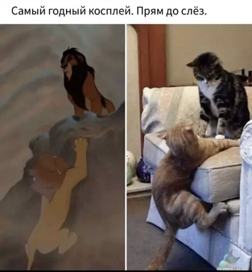 Смешная картинка №400996