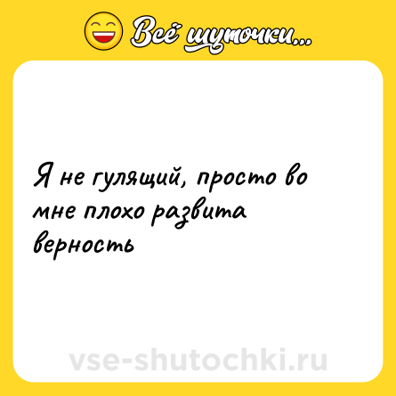 Шутка: Я не гулящий, просто во мне плохо развита верность
