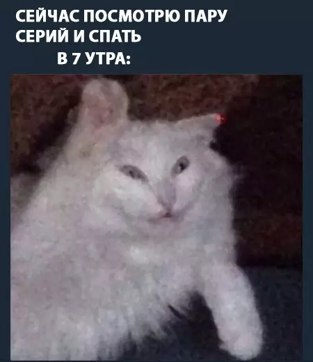 Смешная картинка №283464