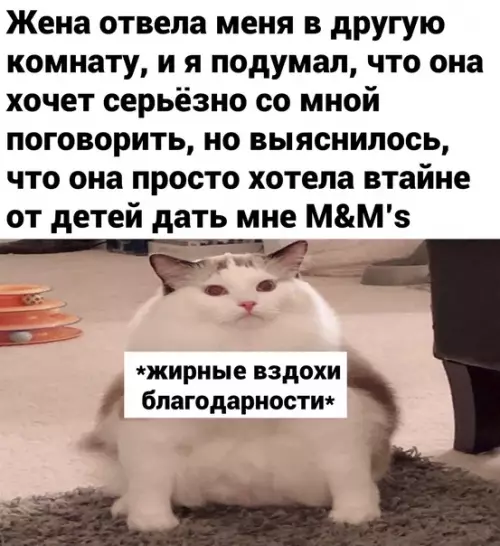 Смешная картинка №601091 Чeл, ты счacтливчик