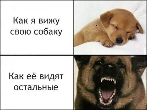 Смешная картинка №253858