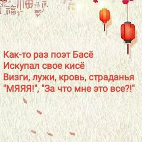 продолжение Смешная картинка №804830 Про Кисё и Басё