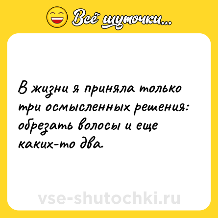 Шутка: В жизни я приняла только три осмысленных решения: обрезать волосы и еще каких-то два.