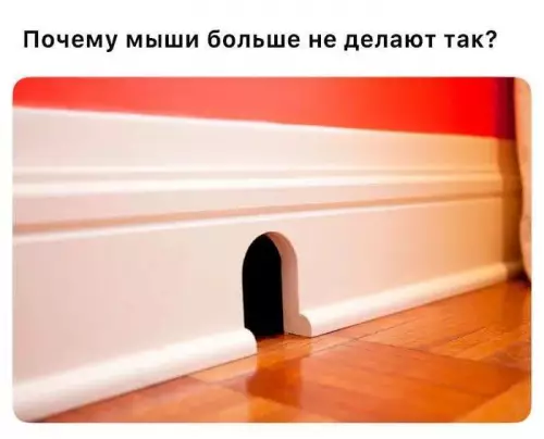 Мини-дверь для мышей: уровень комфорта 100% 🐭 - Почему мыши больше не делают так?