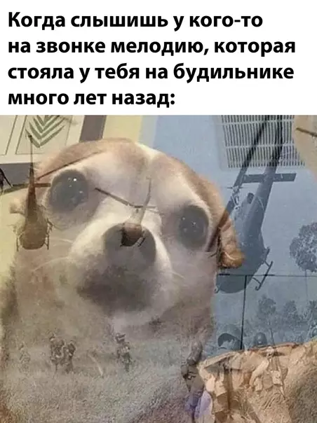 Смешная картинка №553699