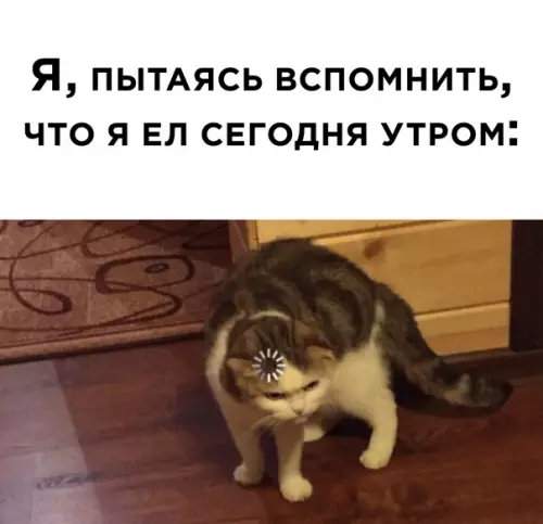 продолжение Смешная картинка №563424