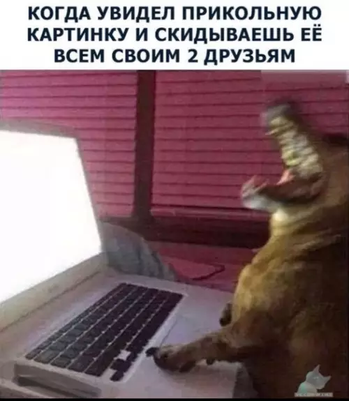 Смешная картинка №395376
