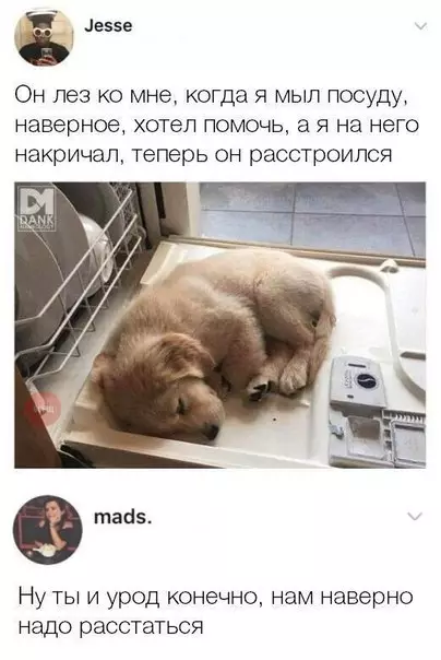 Смешная картинка №268172