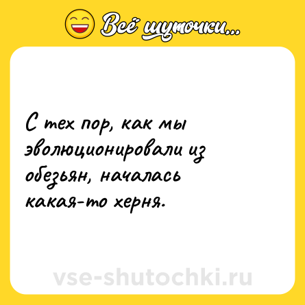 Шутка: С тех пор, как мы эволюционировали из обезьян, началась какая-то херня.