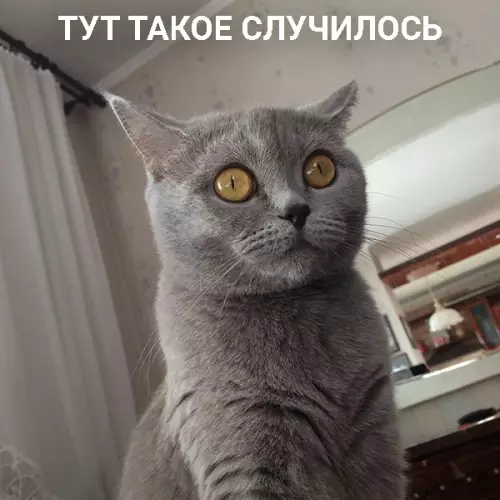 Смешная картинка №416741 Лежишь тут ничего не знаешь, а там ТАКОЕ