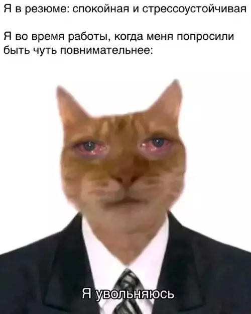 Когда стрессоустойчивость вышла из чата 🙀 - Я в резюме: спокойная и стрессоустойчивая Я во время работы,