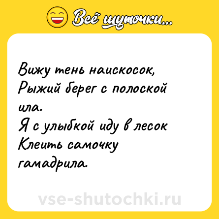 Шутка: Вижу тень наискосок, <br>Рыжий берег с полоской ила. <br>Я с улыбкой иду в лесок <br>Клеить самочку гамадрила.