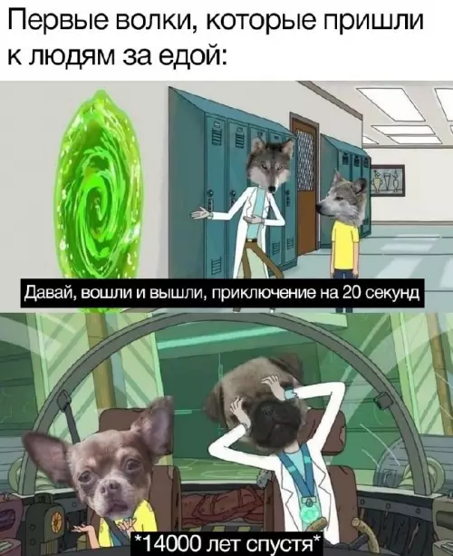 Смешная картинка №664601