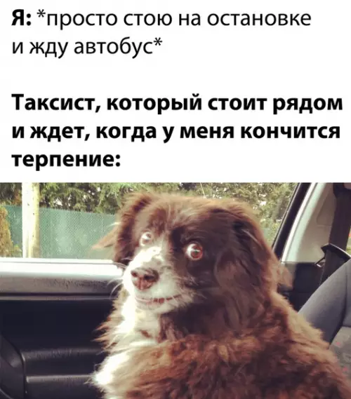 Смешная картинка №518440