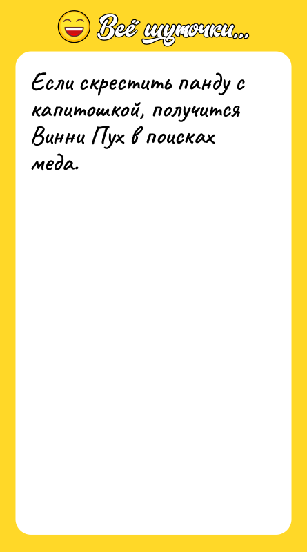 Если скрестить панду с капитошкой, получится Винни Пух в поисках