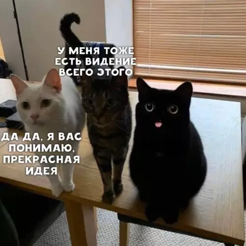 Смешная картинка №393898 Что происходит у меня в голове во время серьёзных разговоров и совещаний: