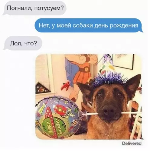 Смешная картинка №290568 Не, не получится Собаки
