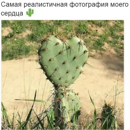 Смешная картинка №281362