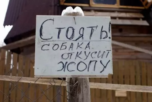 Смешная картинка №283928 Собаки