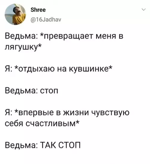 Когда ведьма превращает тебя в лягушку