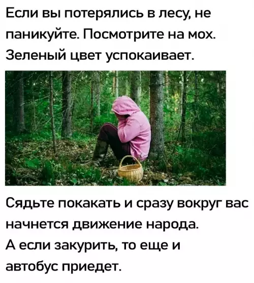 Смешная картинка №822245 Лес