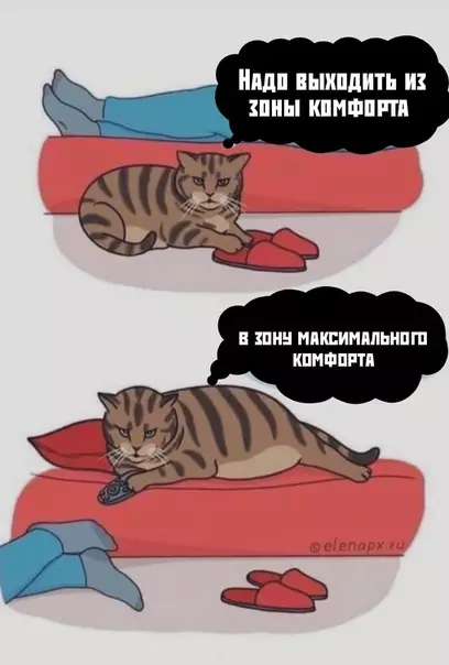 Смешная картинка №500041