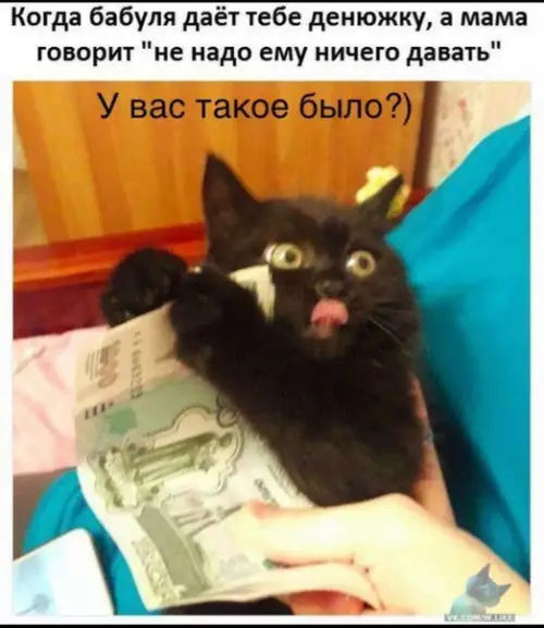 Смешная картинка №393180