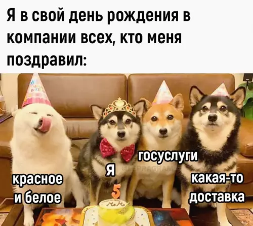 Смешная картинка №661549 день рождения