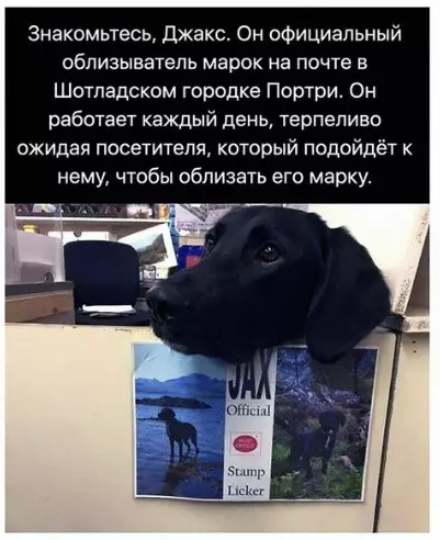Смешная картинка №274253