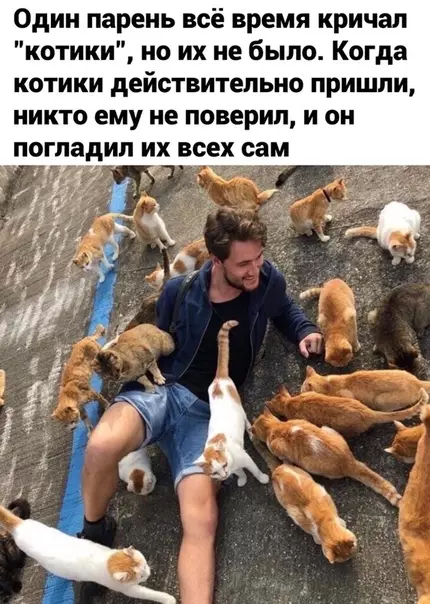 Смешная картинка №514639 Страшная история