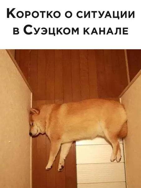 Смешная картинка №562846