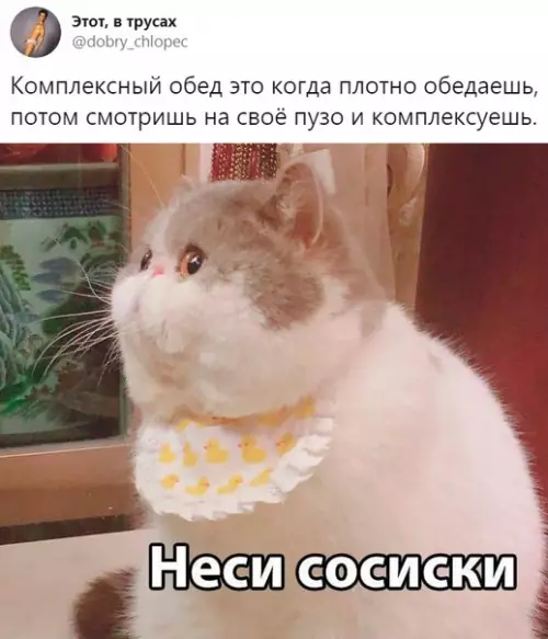 Смешная картинка №391319