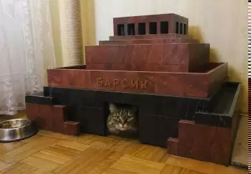 Фараон Барсик правит миром! 🐈‍⬛👑 - БАРСИК