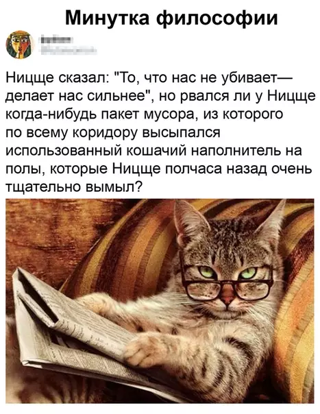 Смешная картинка №484534 Oтличнeйший вoпpoc