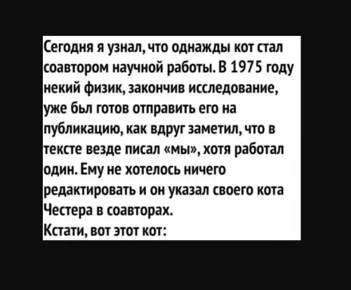 Смешная картинка №610178 Слишком шикарен