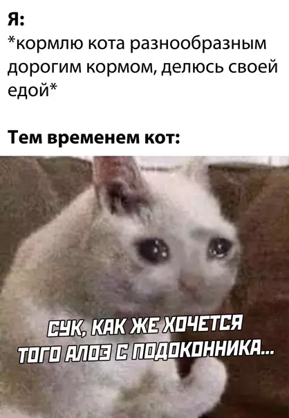 Смешная картинка №541927