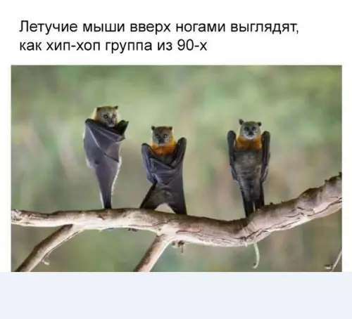 Смешная картинка №205275