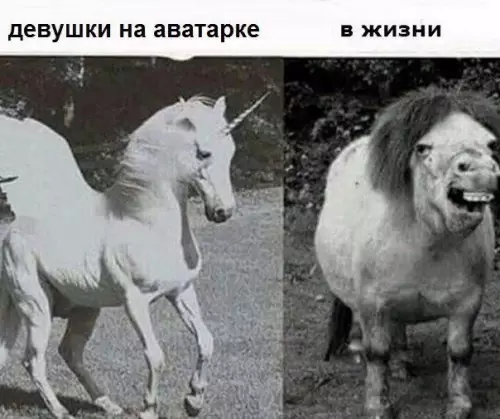 Смешная картинка №425833