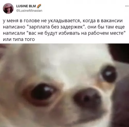 Смешная картинка №654142 работа