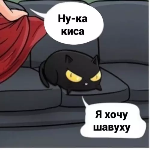 Смешная картинка №584448 Кот-шаурма