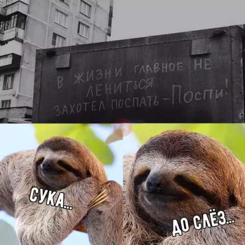 Смешная картинка №257988